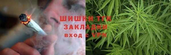 эйфоретик Инта