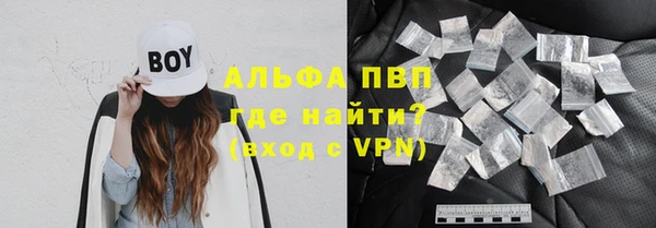 стаф Каменногорск