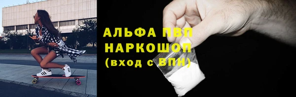 эйфоретик Инта