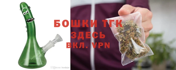 стаф Каменногорск