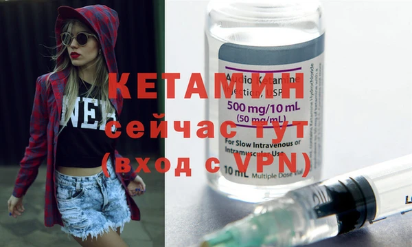 стаф Каменногорск