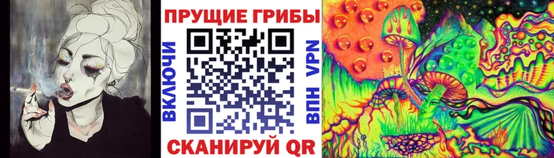 Псилоцибиновые грибы мухоморы  Купить закладки  Комсомольск 